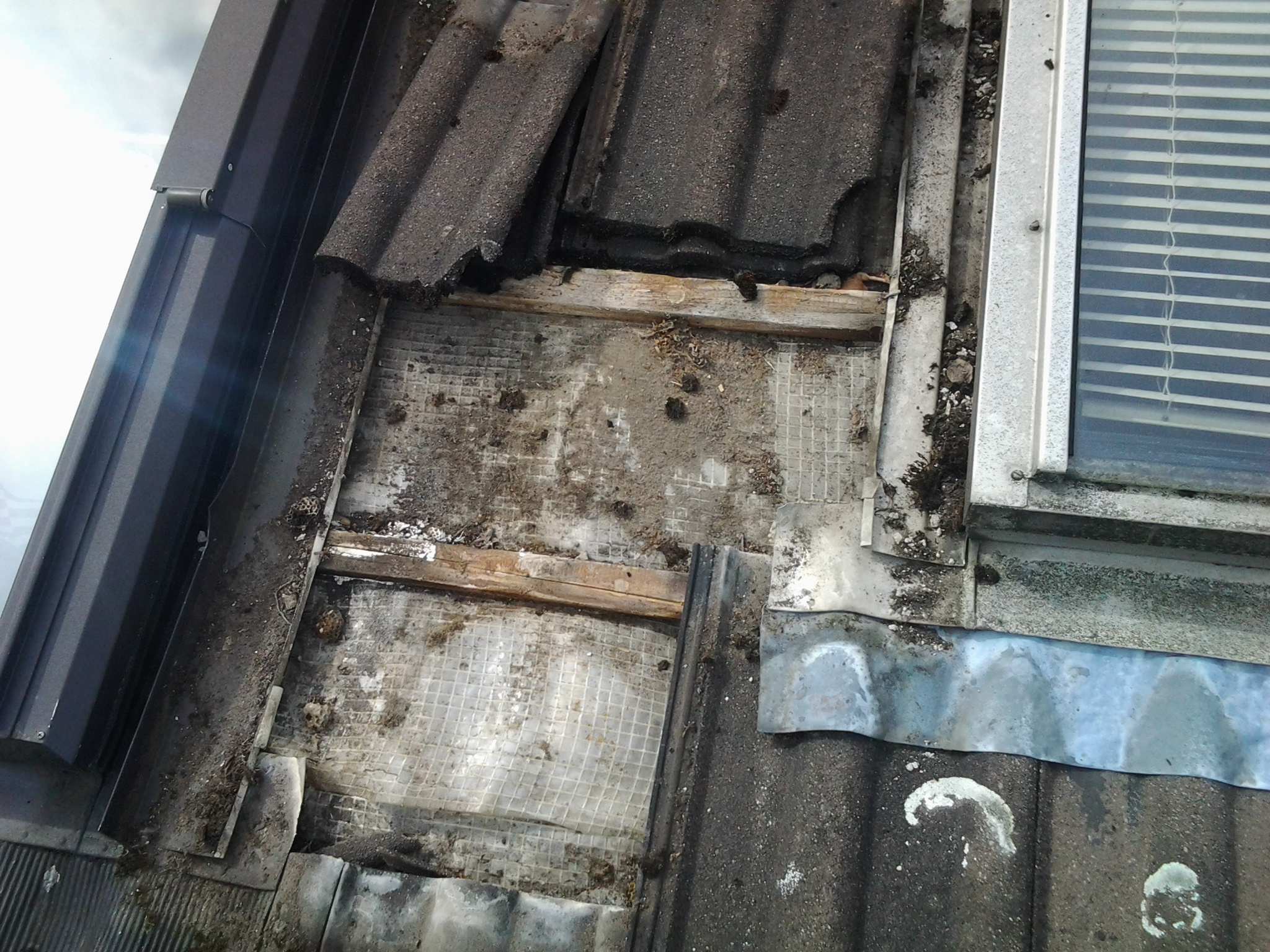 SCHÄFER BEDACHUNGEN - Ihr kompetenter Partner rund um Ihr Dach! - Service