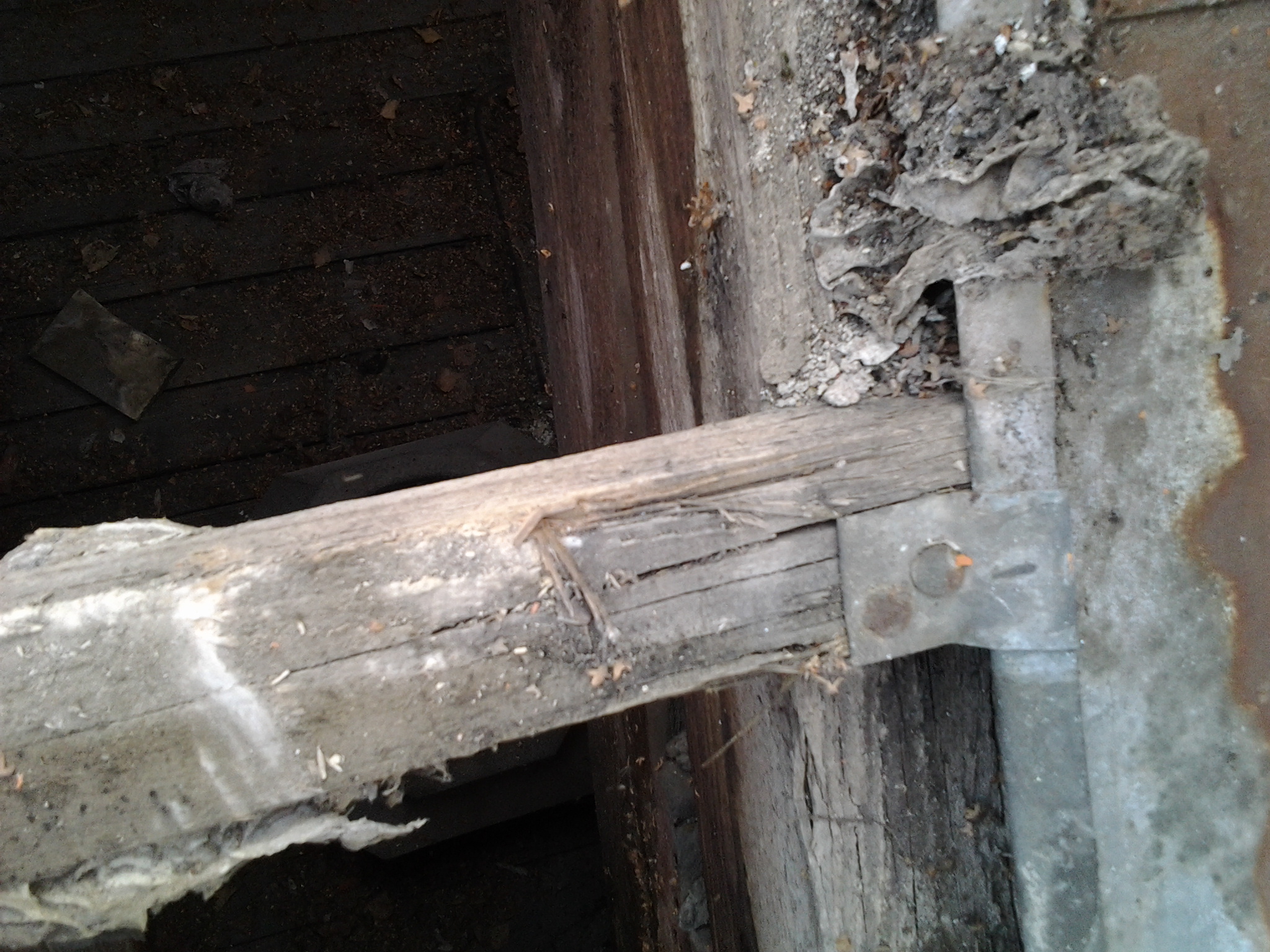 SCHÄFER BEDACHUNGEN - Ihr kompetenter Partner rund um Ihr Dach! - Service